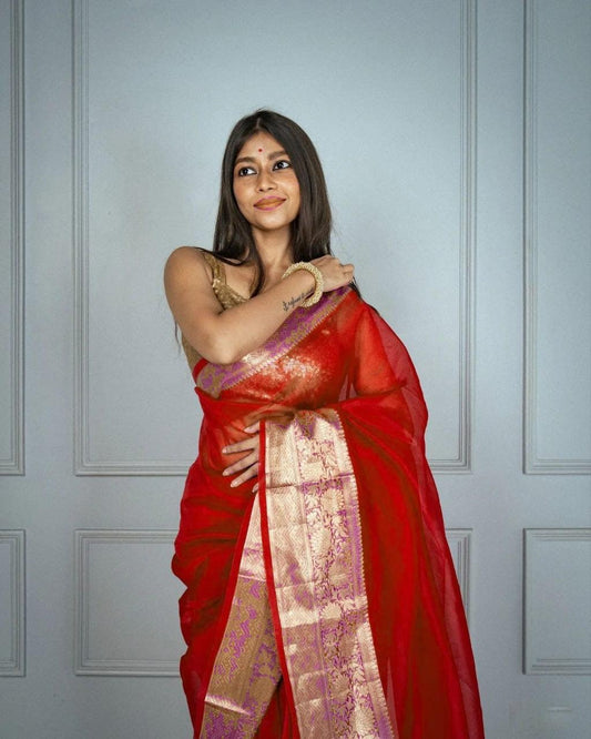 Banarasi Organza saree in Red, adorable festive wear - Ibis Fab