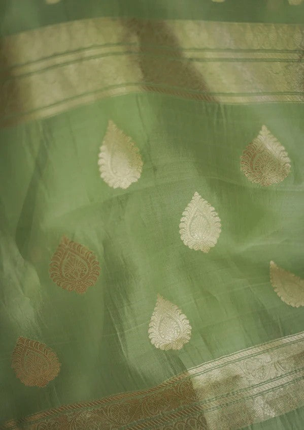 Pista Green Jacquard Saree