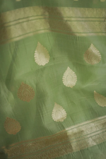 Pista Green Jacquard Saree