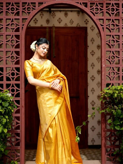 Kanchi pattu Banarasi Lichi Kanjivaram Silk Saree - Ibis Fab