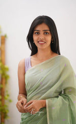 Pista Jacquard Saree