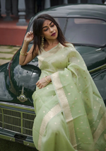 Pista Green Jacquard Saree