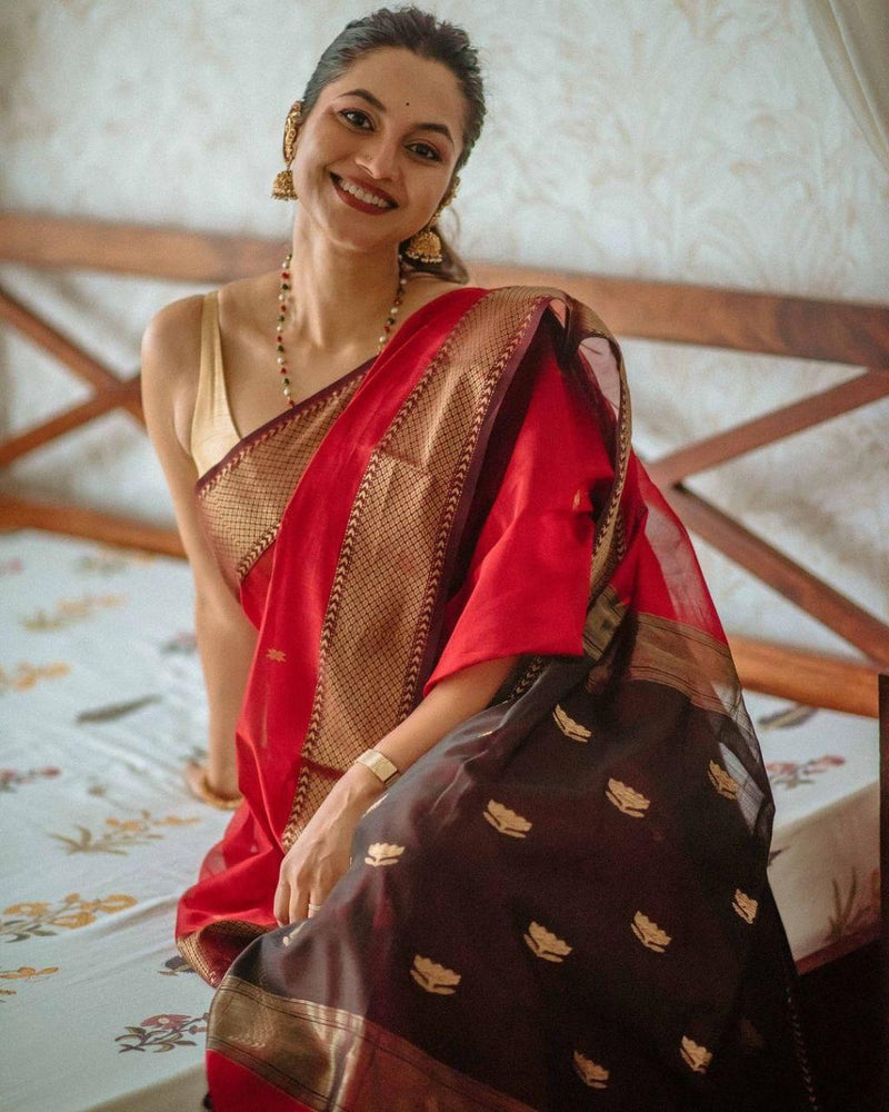 Red Jacquard Saree