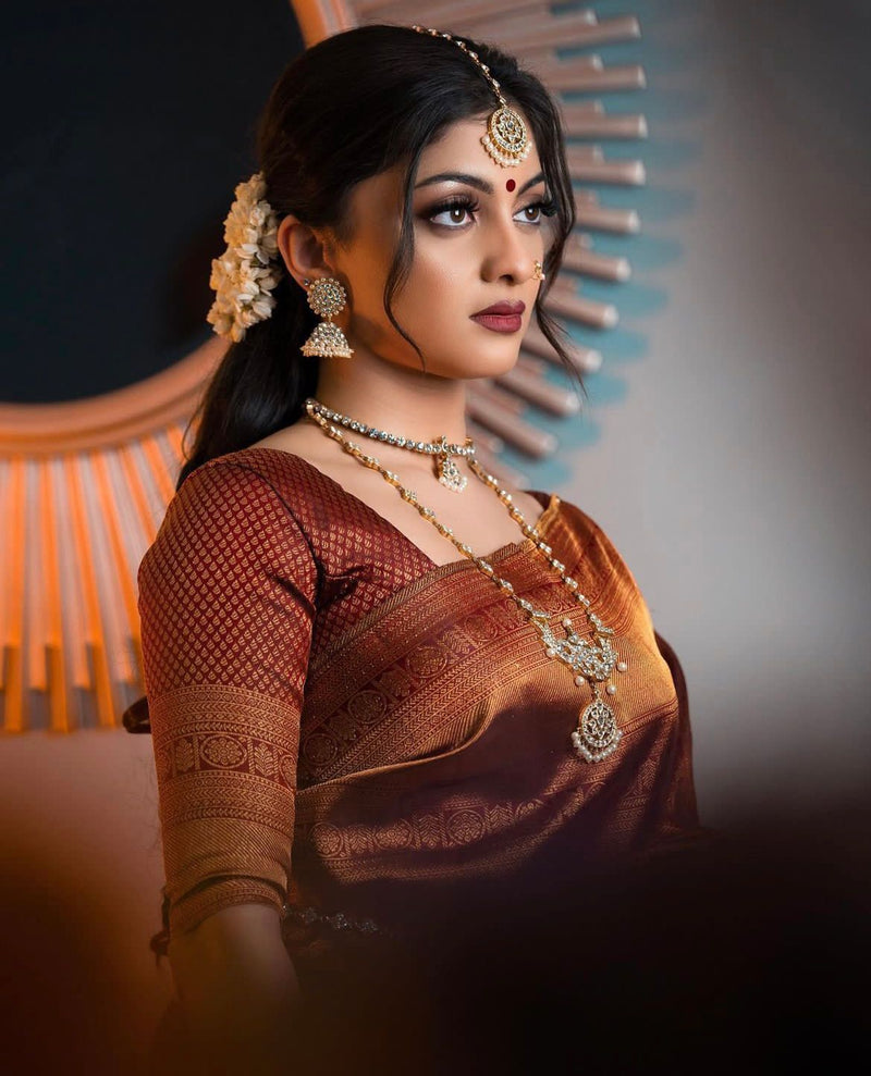 Elegant Brown Jacquard Saree