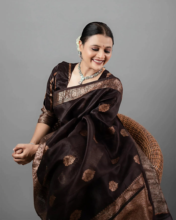 Classic Brown Jacquard Saree – Elegant Woven Saree for Weddings & Festive Celebrations