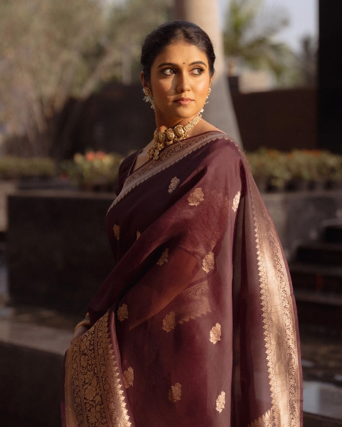Elegant Maroon Jacquard Saree with Rich Woven Detailing