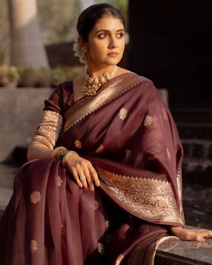 Elegant Maroon Jacquard Saree with Rich Woven Detailing