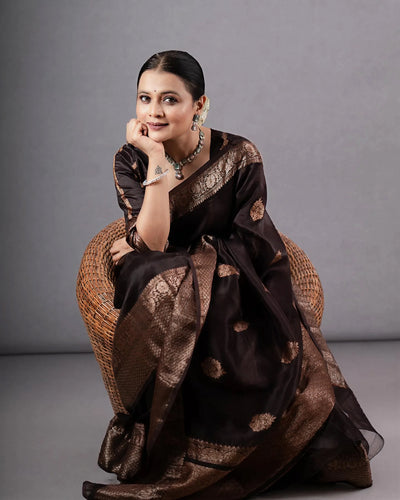 Classic Brown Jacquard Saree