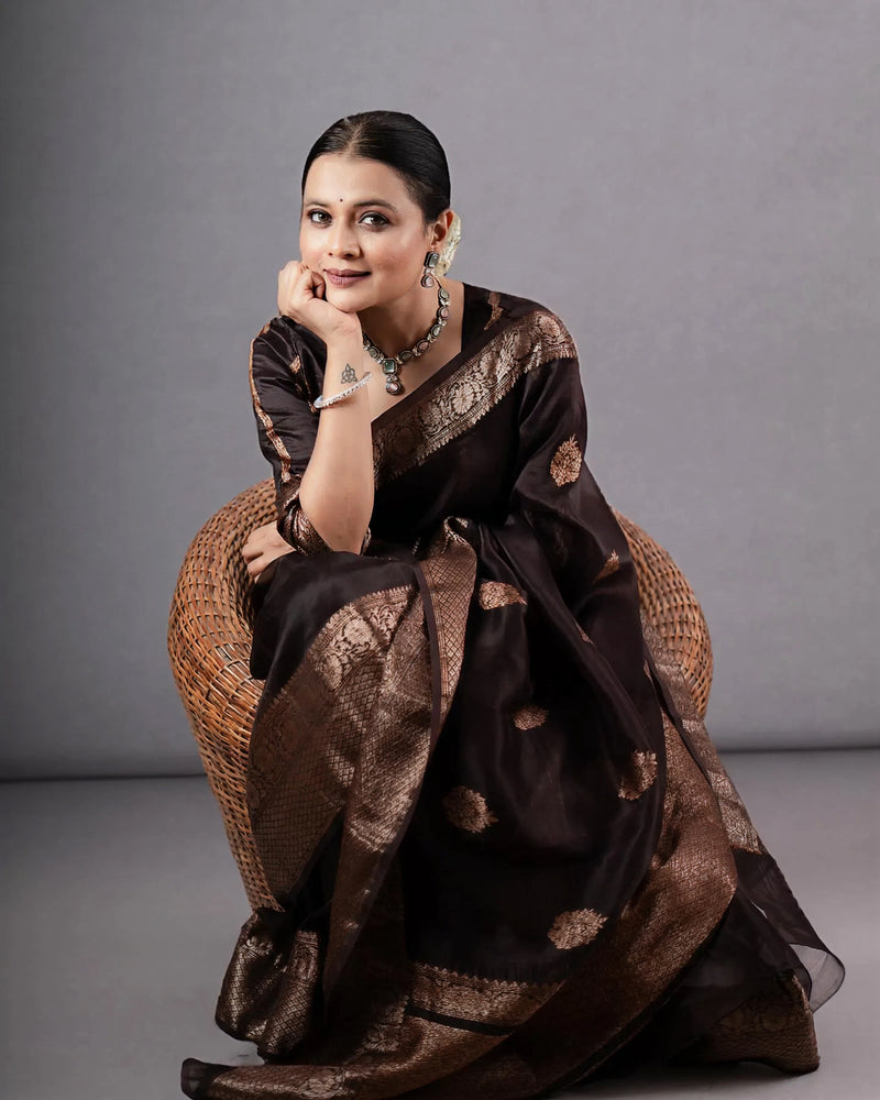 Classic Brown Jacquard Saree