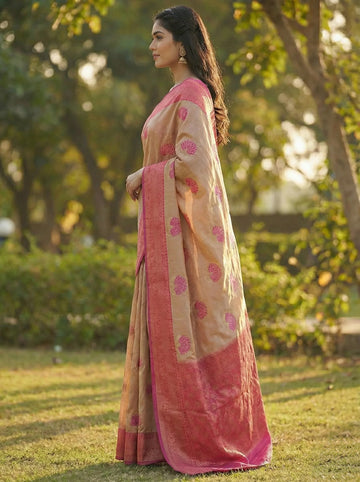 Chiku Rani Jacquard Silk Saree with Royal Woven Elegance