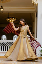 Champagne Banarasi Viscose Lehenga Set