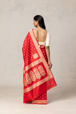 Bright Red Jacquard Saree for Women