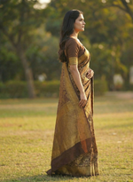 Premium Coffee Brown Jacquard Saree 