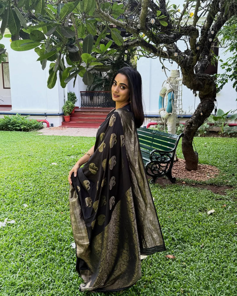 Luxury Black Jacquard Saree 