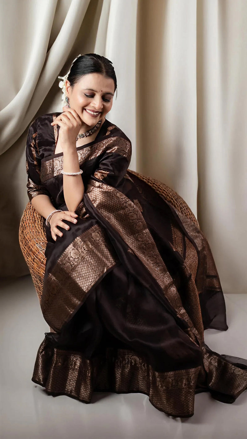 Classic Brown Jacquard Saree