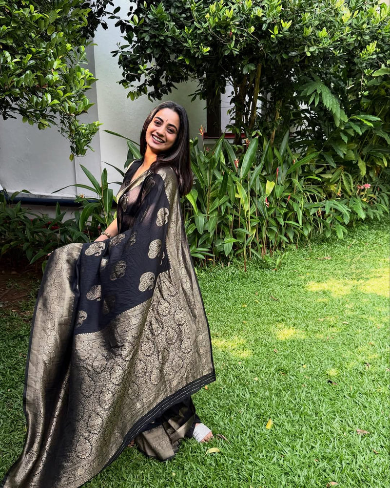 Luxury Black Jacquard Saree 