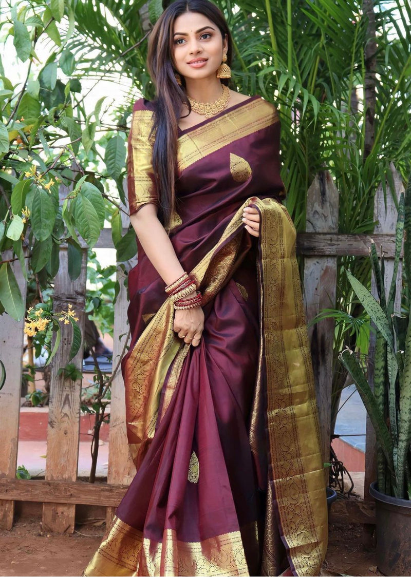 Premium Wine Jacquard Saree
