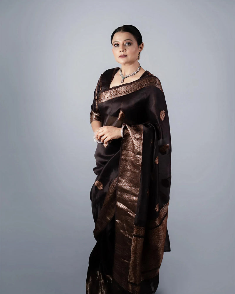 Classic Brown Jacquard Saree