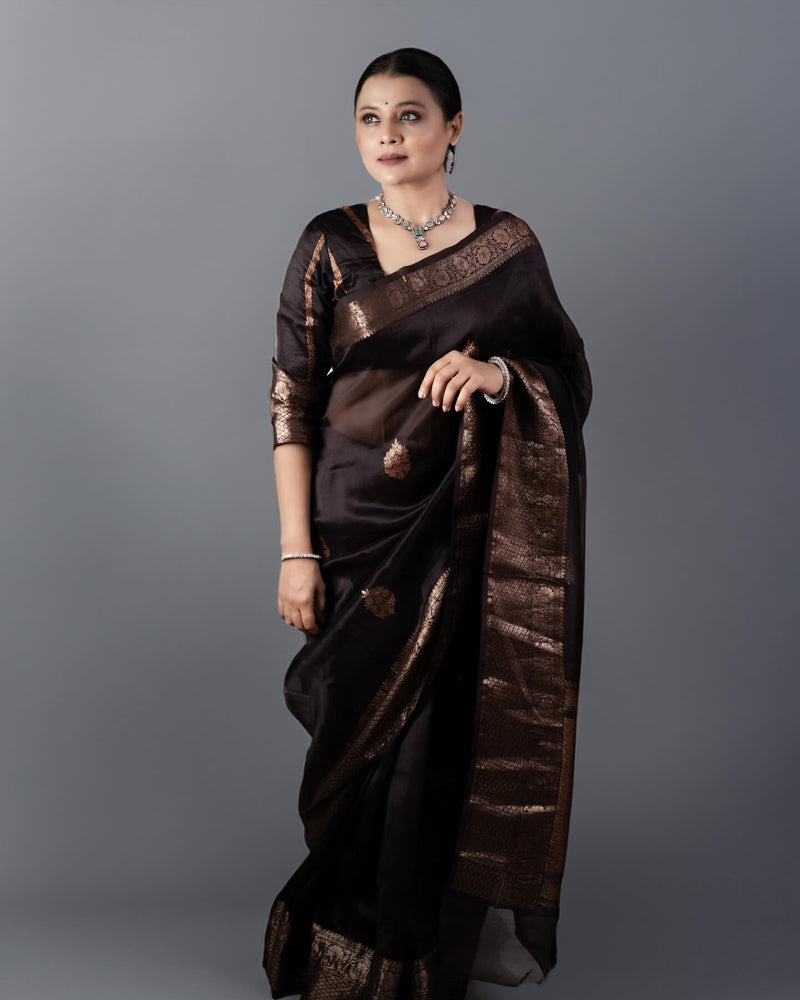 Classic Brown Jacquard Saree