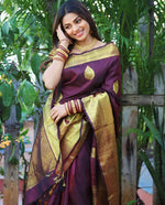 Premium Wine Jacquard Saree