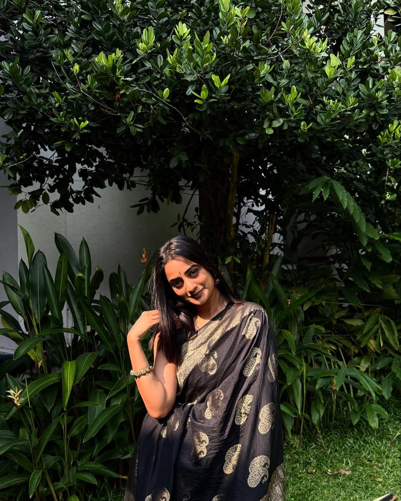 Luxury Black Jacquard Saree 