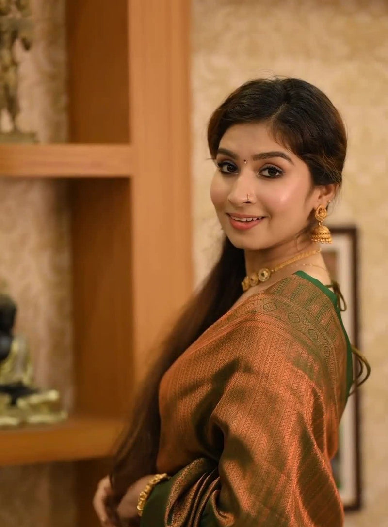 Elegant Brown Jacquard Saree