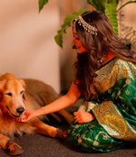 Elegant Green Jacquard Saree