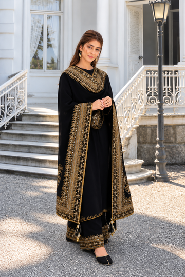 Luxury Black Embroidered Pakistani Suit Set