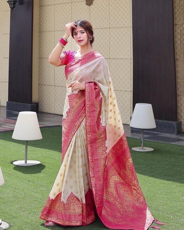 Kanjeevaram Saree with Contrast Border - Ibis Fab