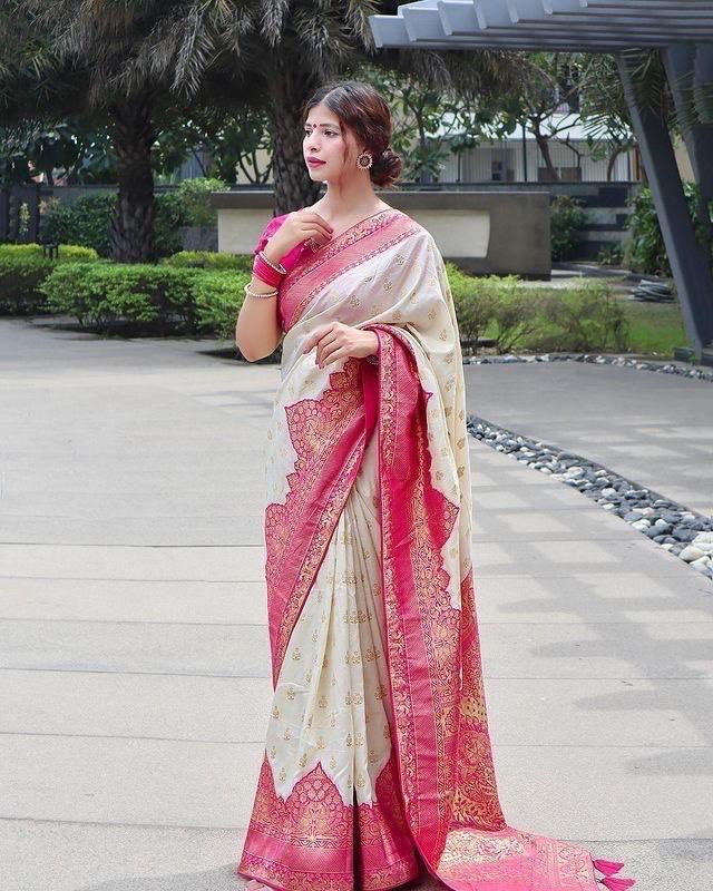 Kanjeevaram Saree with Contrast Border - Ibis Fab