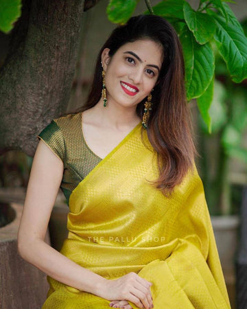 Attractive Yellow Soft Silk Saree With Pretty Blouse Piece