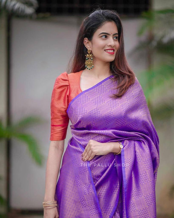 Attractive Purple Soft Silk Saree With Pretty Blouse Piece