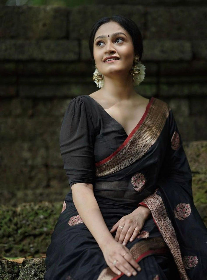 Black Banarasi Silk Saree, Wedding Wear