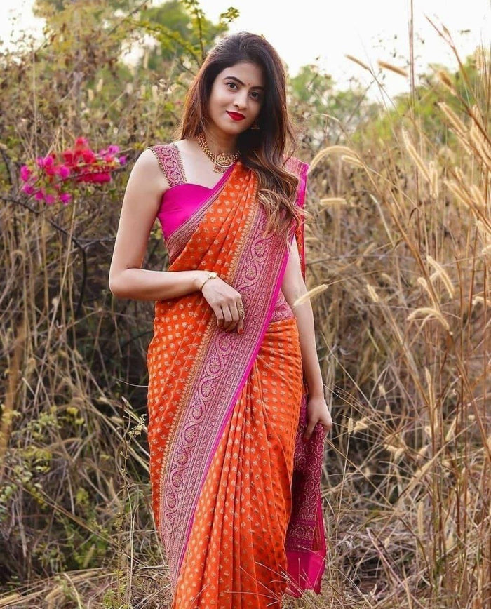 Contrast Border Banarasi Pure Silk Saree