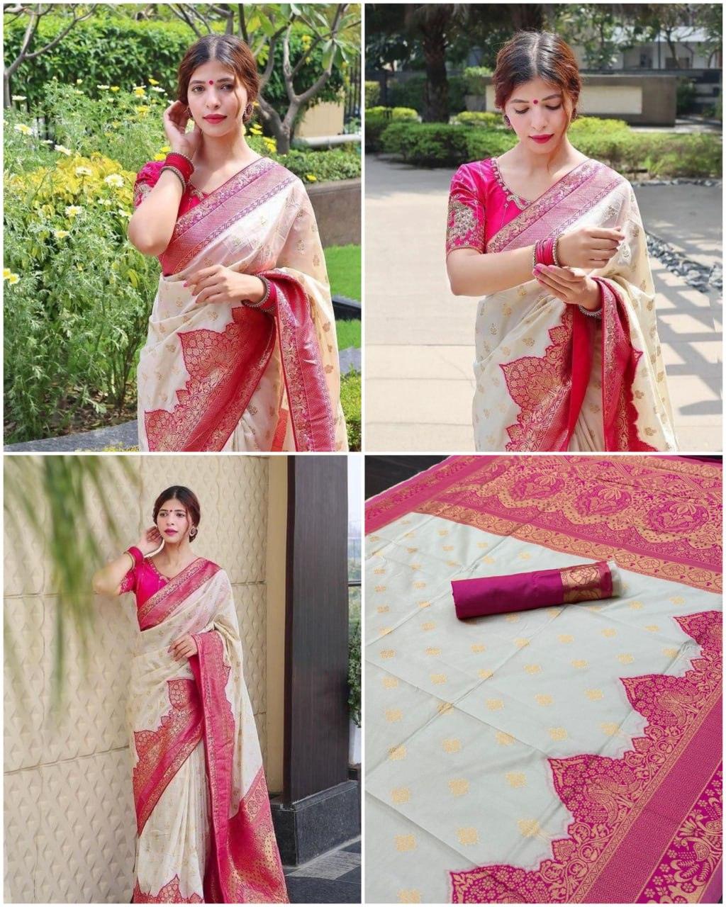 Kanjeevaram Saree with Contrast Border - Ibis Fab