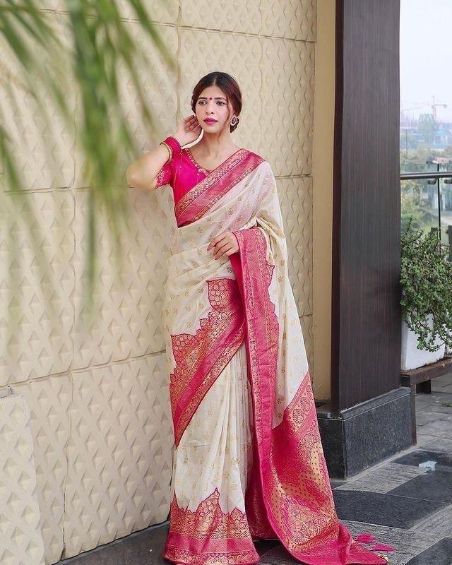 Kanjeevaram Saree with Contrast Border