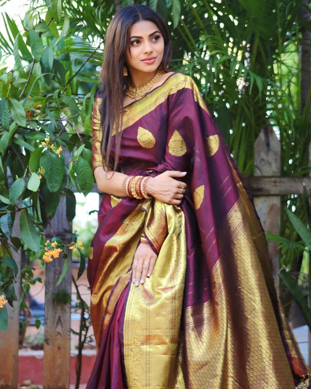 Wine Banarasi Soft Silk Saree - Ibis Fab