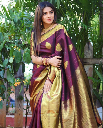 Wine Banarasi Soft Silk Saree