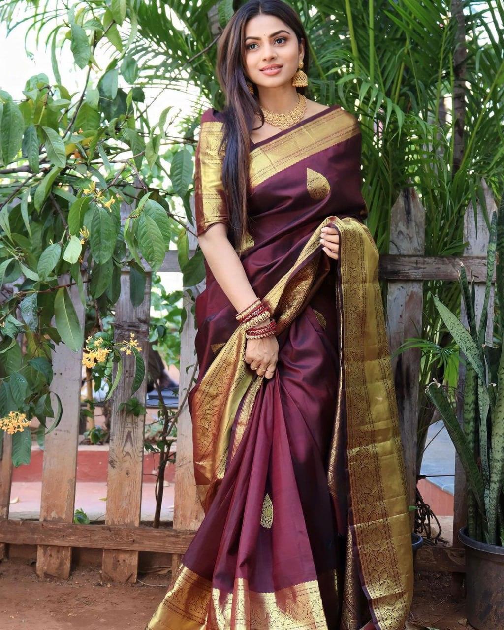 Wine Banarasi Soft Silk Saree - Ibis Fab