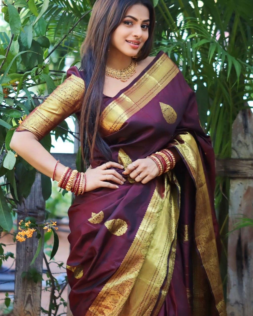 Wine Banarasi Soft Silk Saree - Ibis Fab