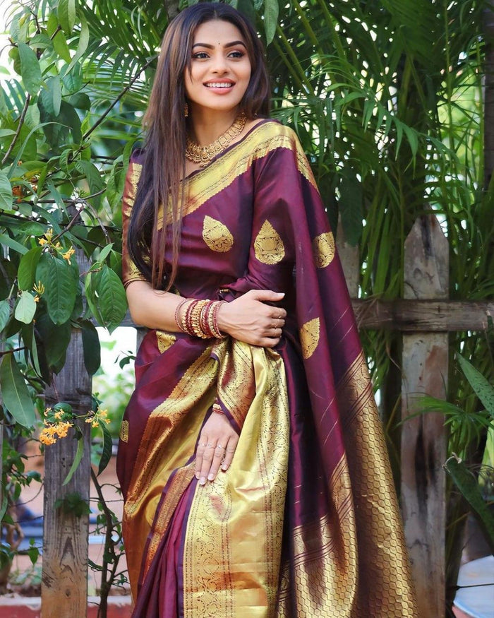 Wine Banarasi Soft Silk Saree
