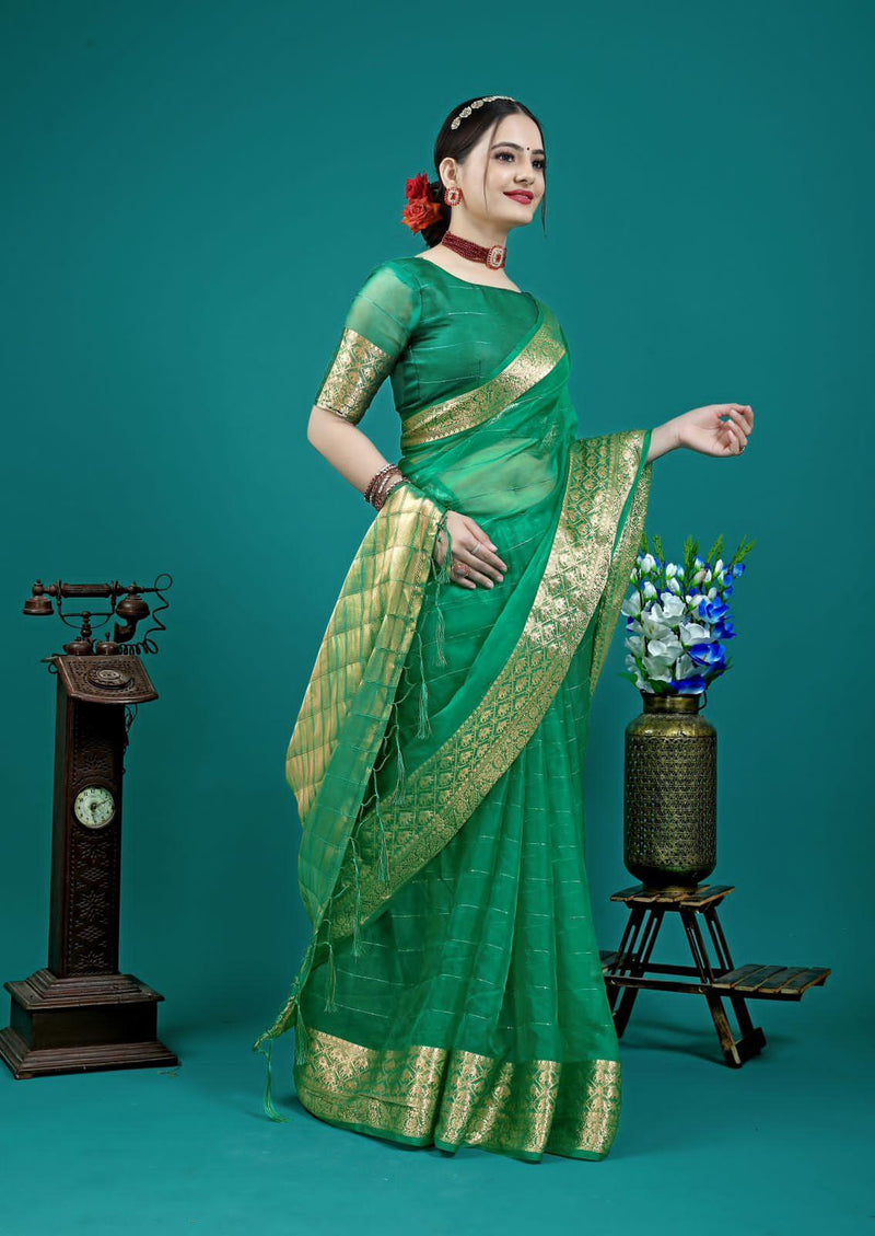 Organza Silk Saree With Attractive Rich Pallu Saree - Ibis Fab