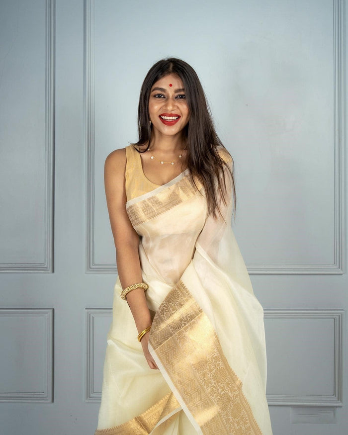 Banarasi Organza saree in White, adorable festive wear
