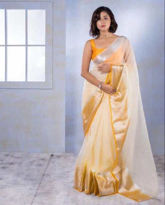 Orange organza saree with blouse piece - Ibis Fab